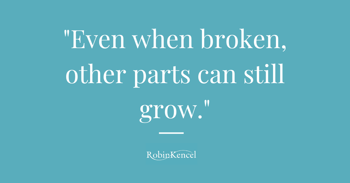 Even when broken, other parts can still grow.